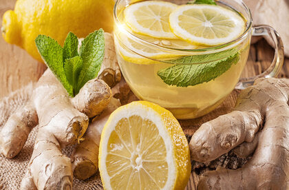 Benefits of green tea with lemon ginger and honey best sale